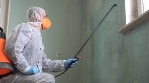 Why You Should Choose Our Mold Remediation Services in Lorena, TX